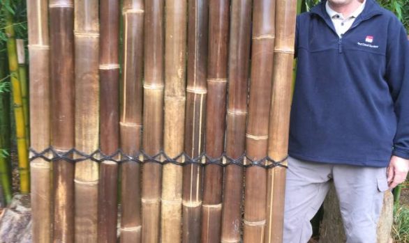 Bamboo panels